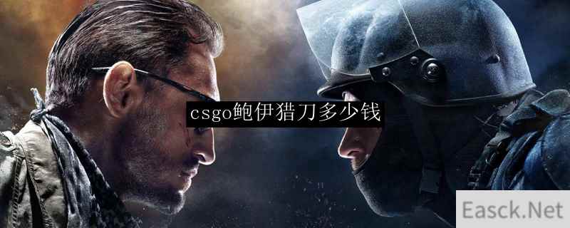 csgo鲍伊猎刀多少钱