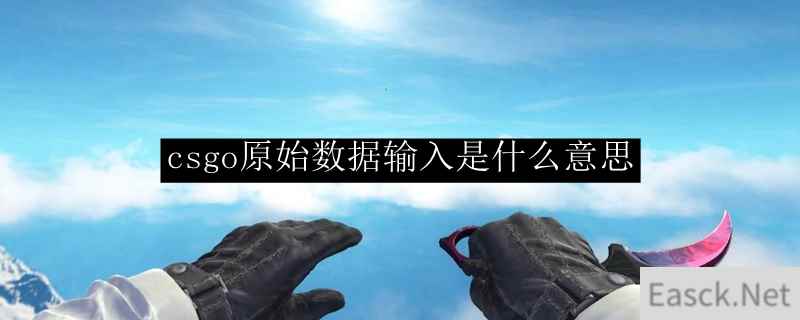 csgo原始数据输入是什么意思