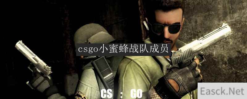 csgo小蜜蜂战队成员