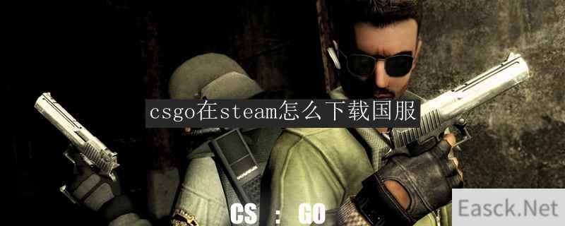 csgo在steam怎么下载国服