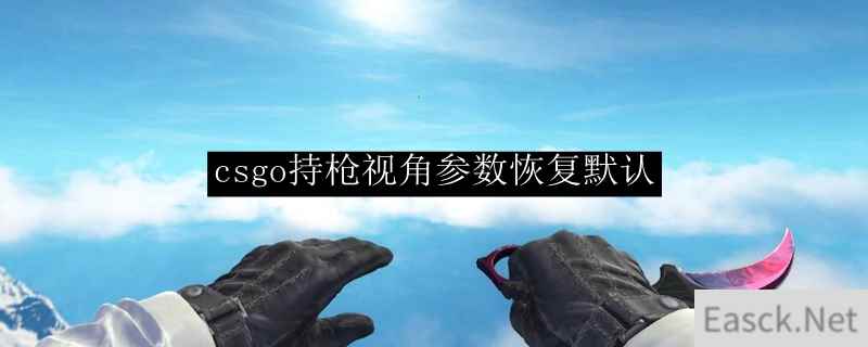 csgo持枪视角参数恢复默认