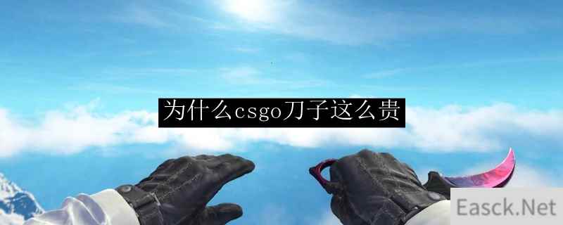 为什么csgo刀子这么贵