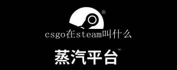 csgo在steam叫什么