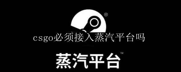 csgo必须接入蒸汽平台吗