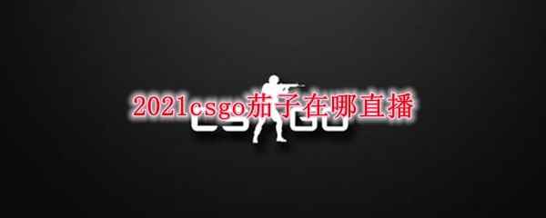 2021csgo茄子在哪直播