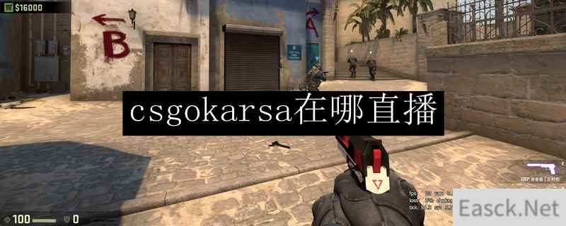 csgokarsa在哪直播