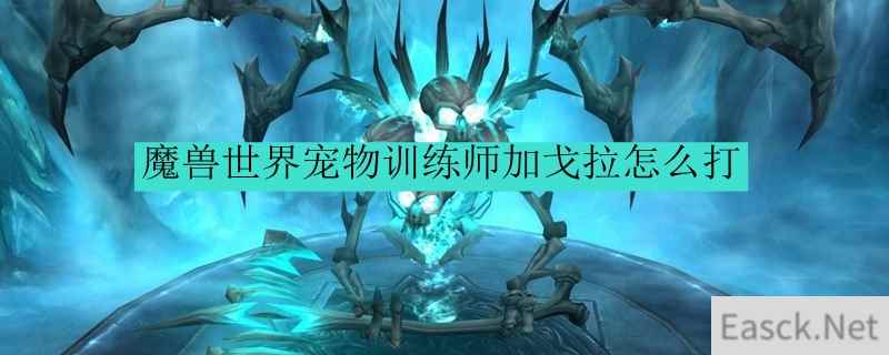 魔兽世界宠物训练师加戈拉怎么打