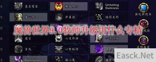 魔兽世界9.0牧师升级用什么专精