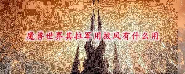 魔兽世界其拉军用披风有什么用