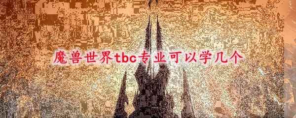 魔兽世界tbc专业可以学几个