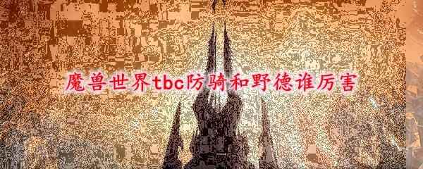 魔兽世界tbc防骑和野德谁厉害