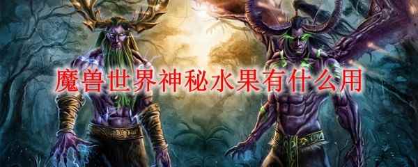 魔兽世界神秘水果有什么用