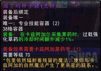 魔兽世界园丁的种子袋属性是什么