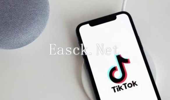 美国十几个州起诉TikTok:对青少年健康“造成严重破坏”