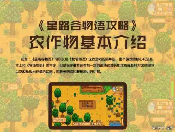 星露谷物语 耕地运用 种植事项及农作物用途解析