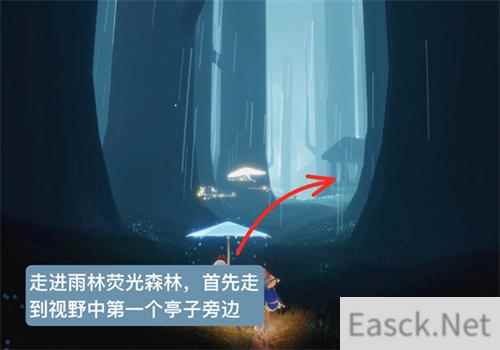 光遇雨林害羞先祖兑换图2022一览