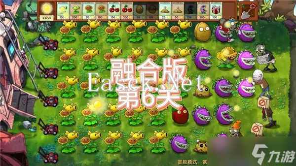 《植物大战僵尸融合版》第6关怎么过关 第6关全流程通关攻略