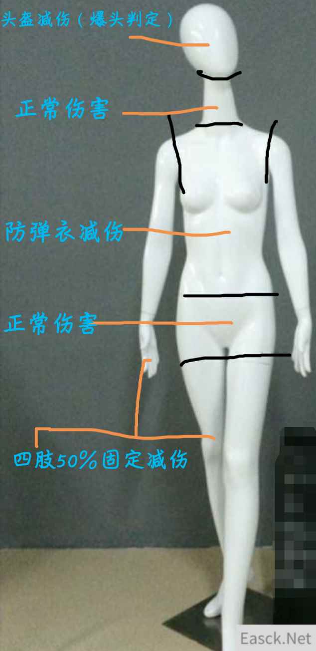 绝地求生大逃杀人物建模伤害区域图解