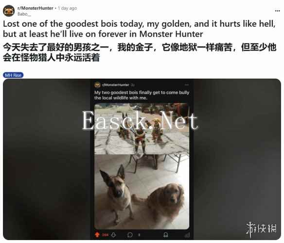 《怪物猎人》玩家痛失爱犬 但在游戏中寻得永恒陪伴