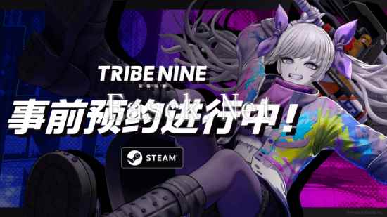 3D动作RPG力作”TRIBE NINE：战极死游“，即日起开启全球同步事前预约!