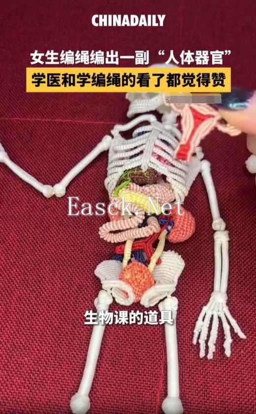 女生用绳子编出“五脏六腑” 学医和学编绳的都震惊了