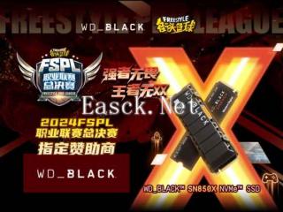 WD_BLACK硬核助力2024FSPL职业联赛总决赛